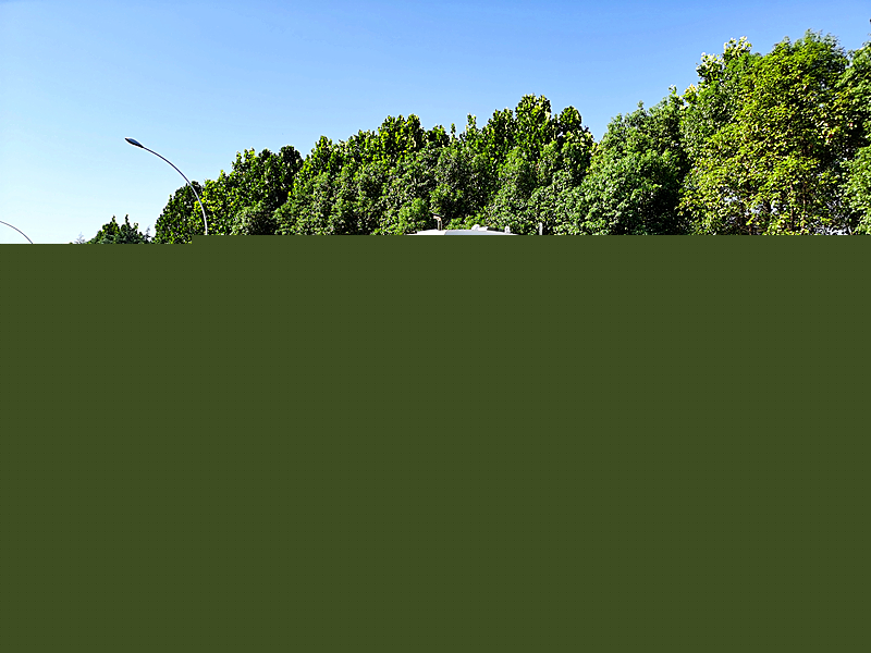 東風(fēng)小多利卡3308洗掃車國六